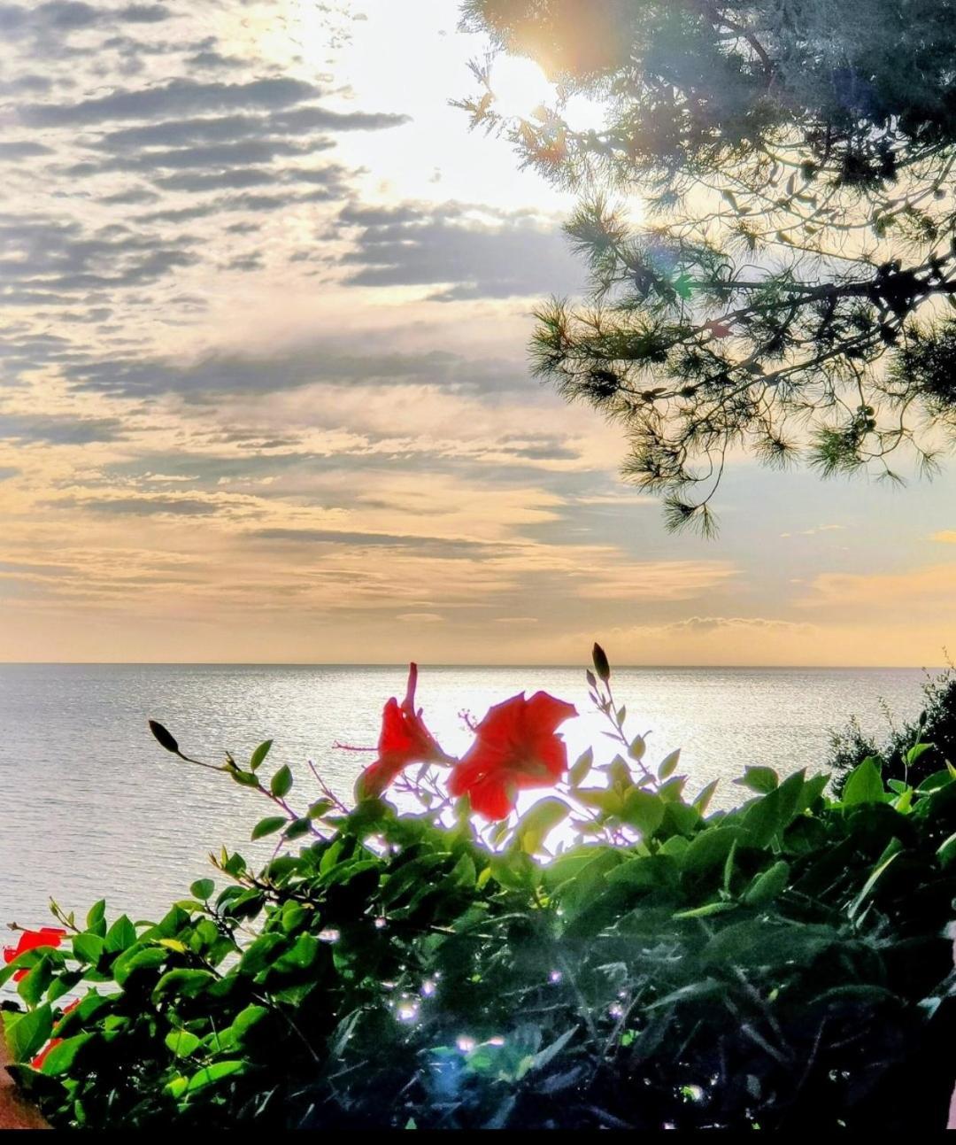 Studio Vue Sur Mer Conca Luaran gambar